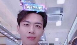 金大武前妻爆料视频大全,揭秘婚姻内幕与情感纠葛