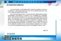 西宁官方爆料最新消息,重大事件揭秘，详情即将揭晓！