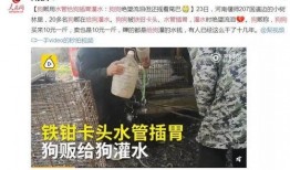 洛阳嵩县爆料事件视频最新,真相与争议交织
